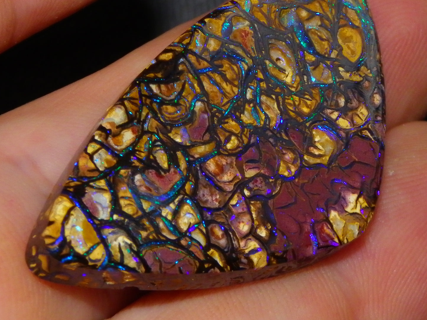 Nice Quality Cut/Polished Koroit Opal Cab/Gem 42.94cts Blue/Green Fires/Patterns Qld Australia