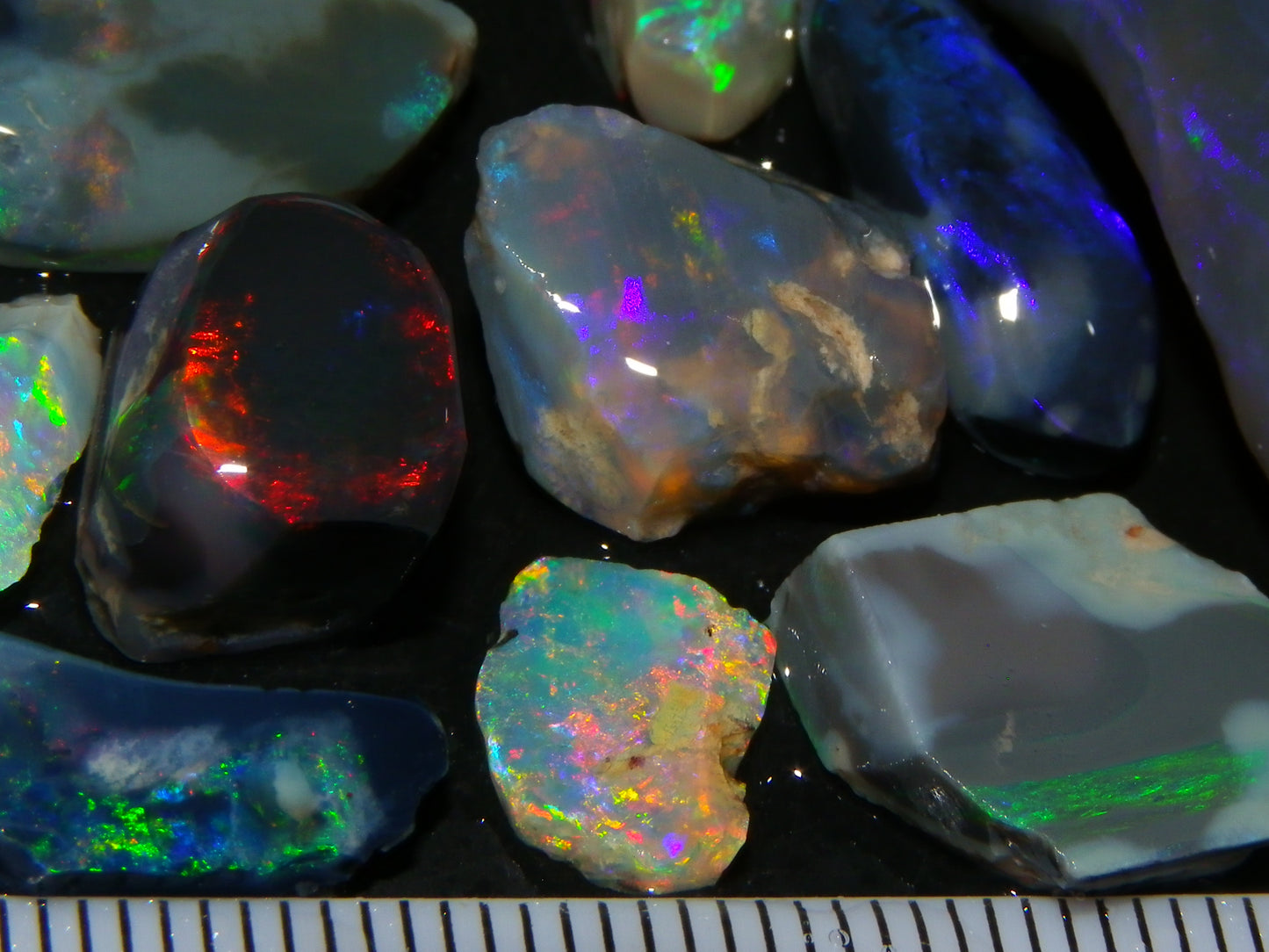 Nice Rubbed/Rough Lightning Ridge Opal Parcel 94cts Mixed Base Multicolour Fires
