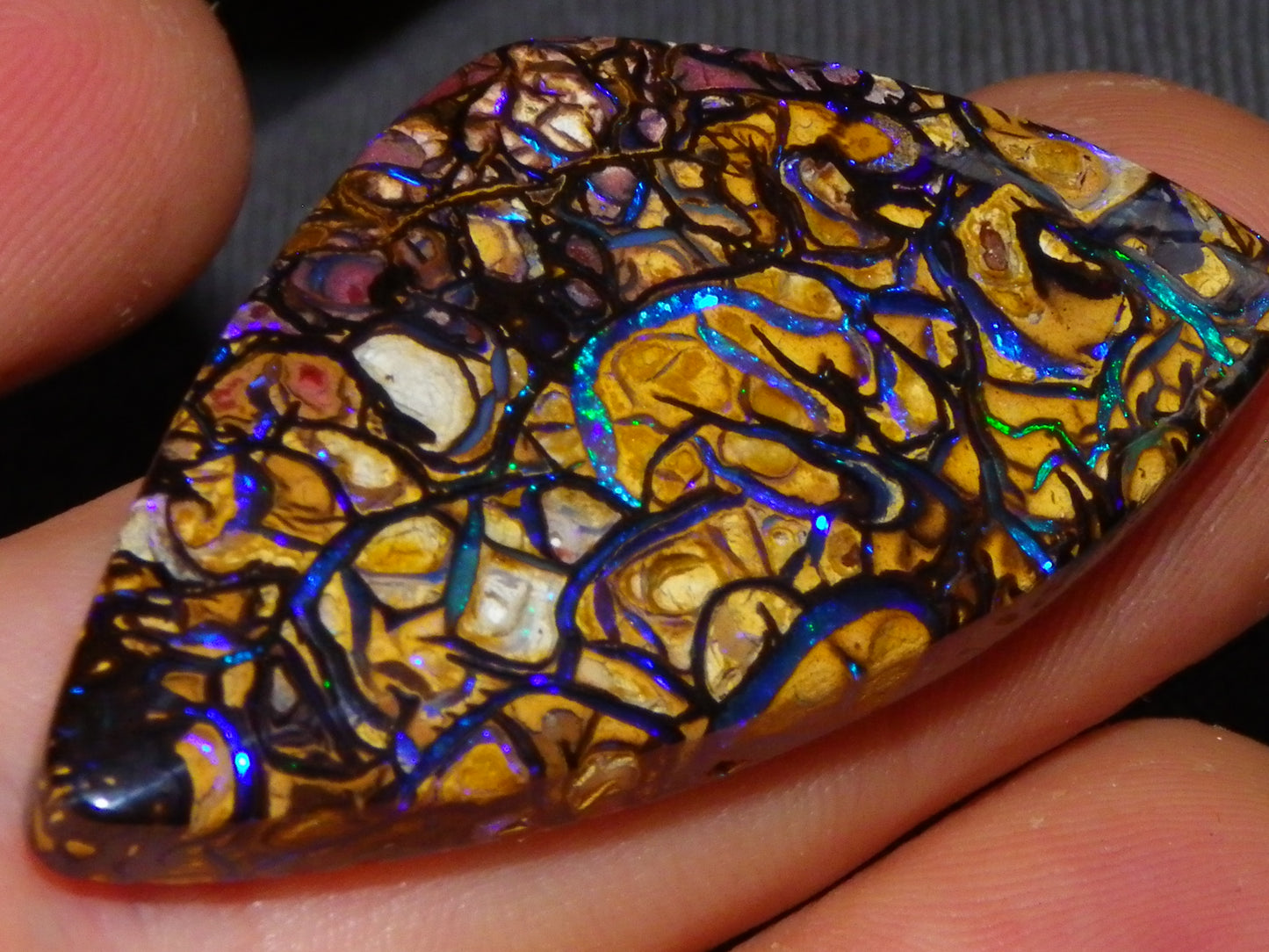 Nice Quality Cut/Polished Koroit Opal Cab/Gem 42.94cts Blue/Green Fires/Patterns Qld Australia
