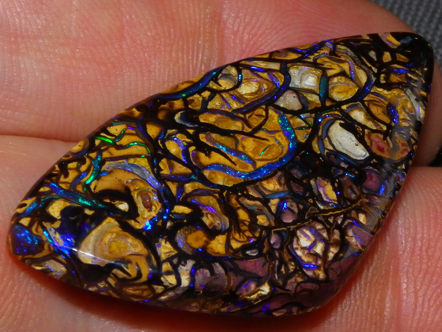 Nice Quality Cut/Polished Koroit Opal Cab/Gem 42.94cts Blue/Green Fires/Patterns Qld Australia