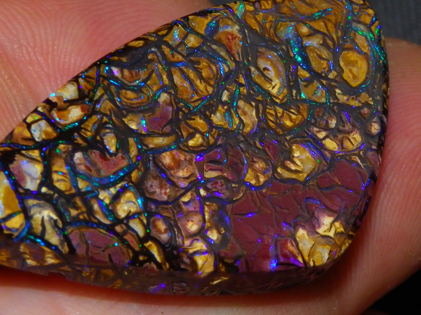 Nice Quality Cut/Polished Koroit Opal Cab/Gem 42.94cts Blue/Green Fires/Patterns Qld Australia