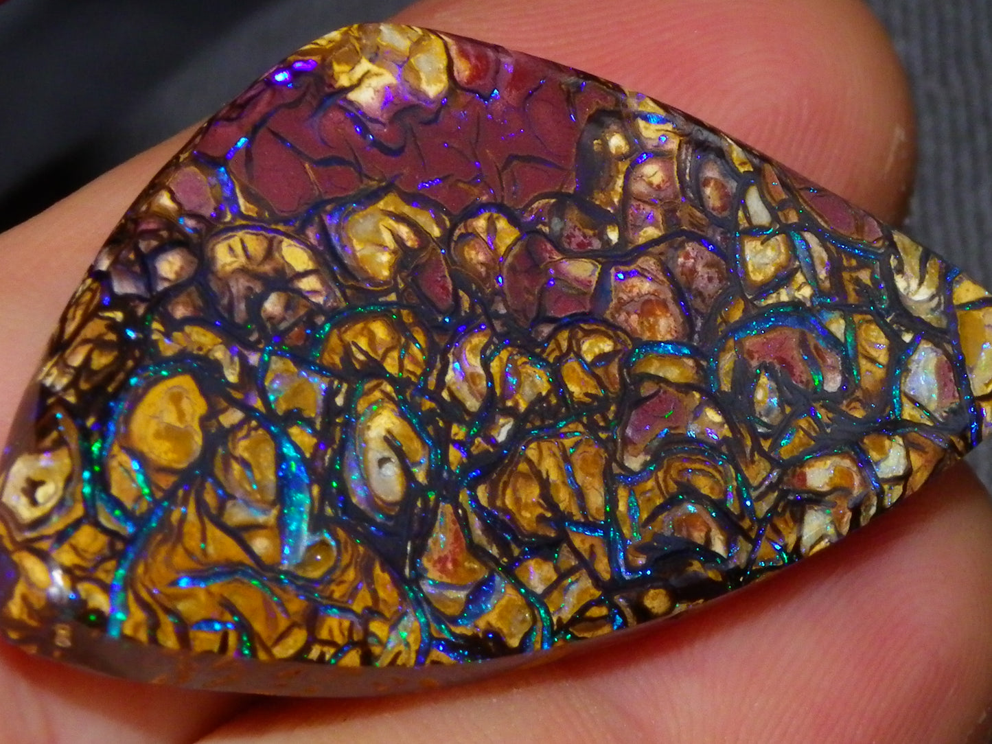 Nice Quality Cut/Polished Koroit Opal Cab/Gem 42.94cts Blue/Green Fires/Patterns Qld Australia
