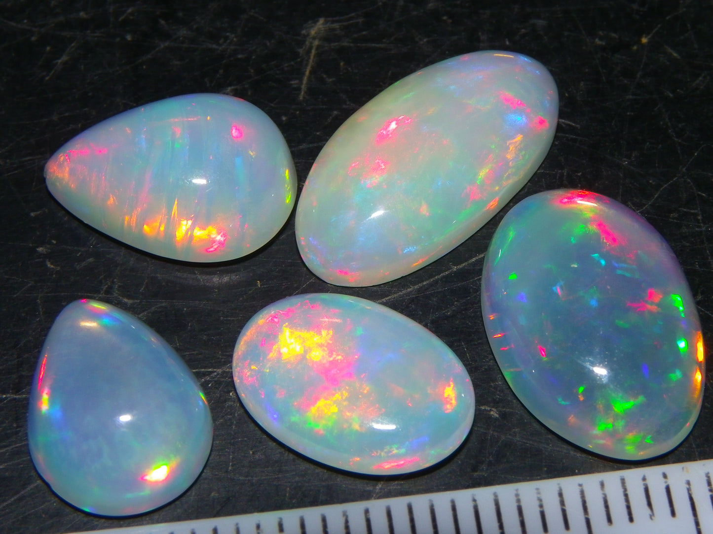 5 Nice Cut/Polished Ethiopia welo Crystal Opals 13.84cts Multicolour Fires