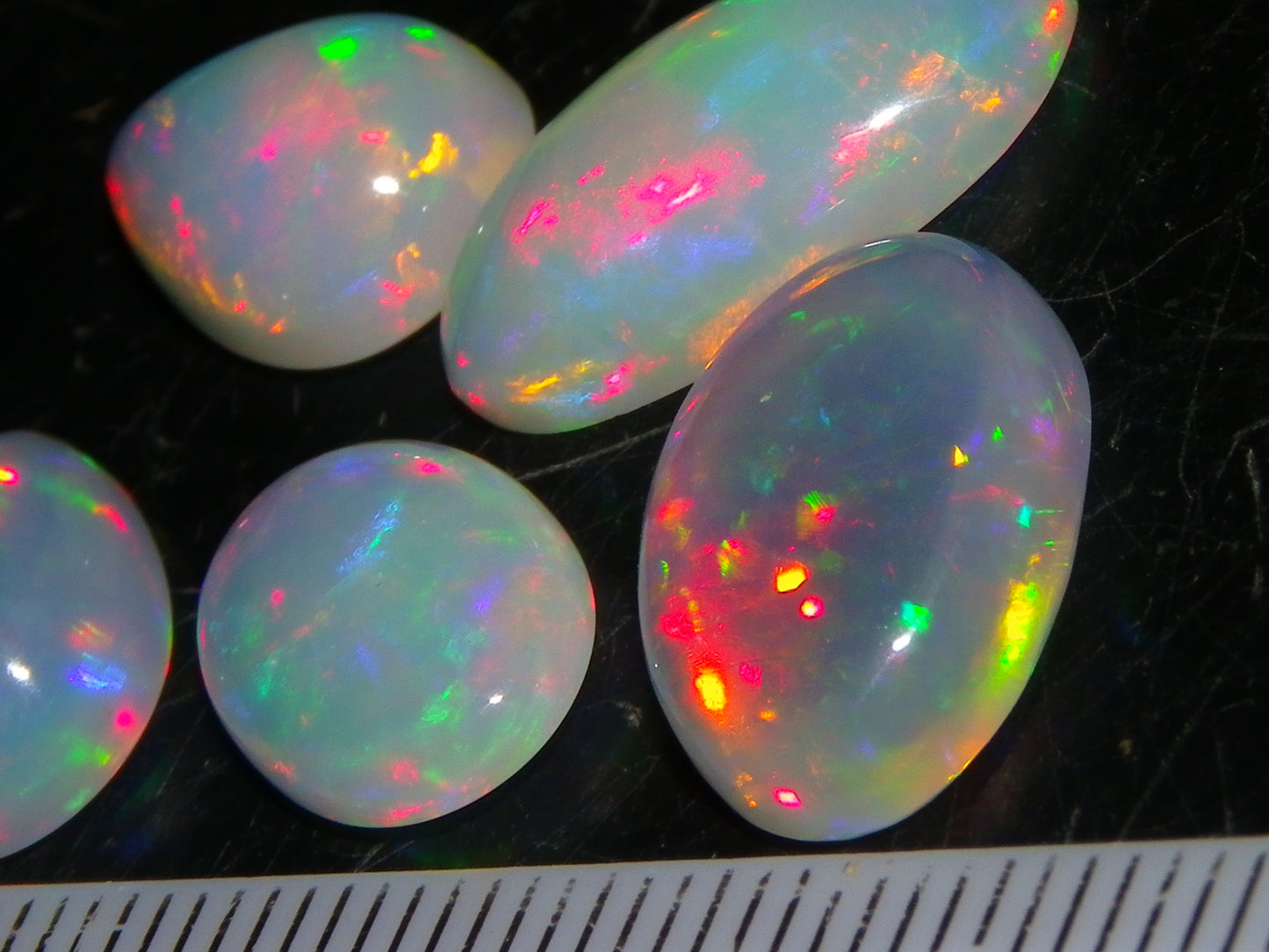 5 Nice Cut/Polished Ethiopia welo Crystal Opals 13.84cts Multicolour Fires