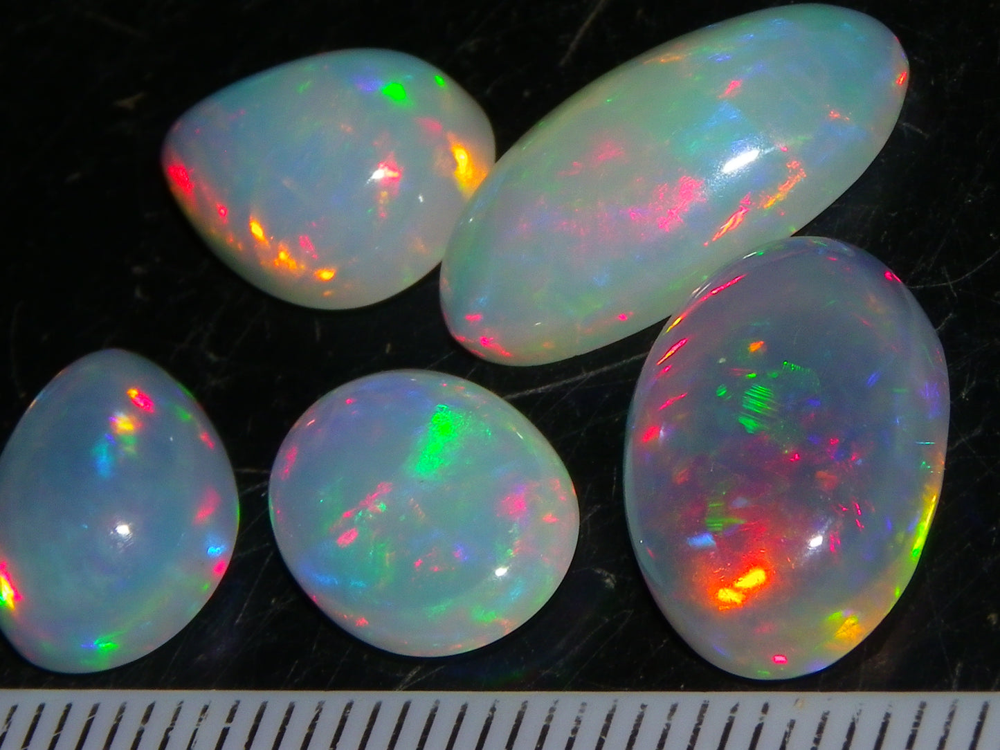 5 Nice Cut/Polished Ethiopia welo Crystal Opals 13.84cts Multicolour Fires