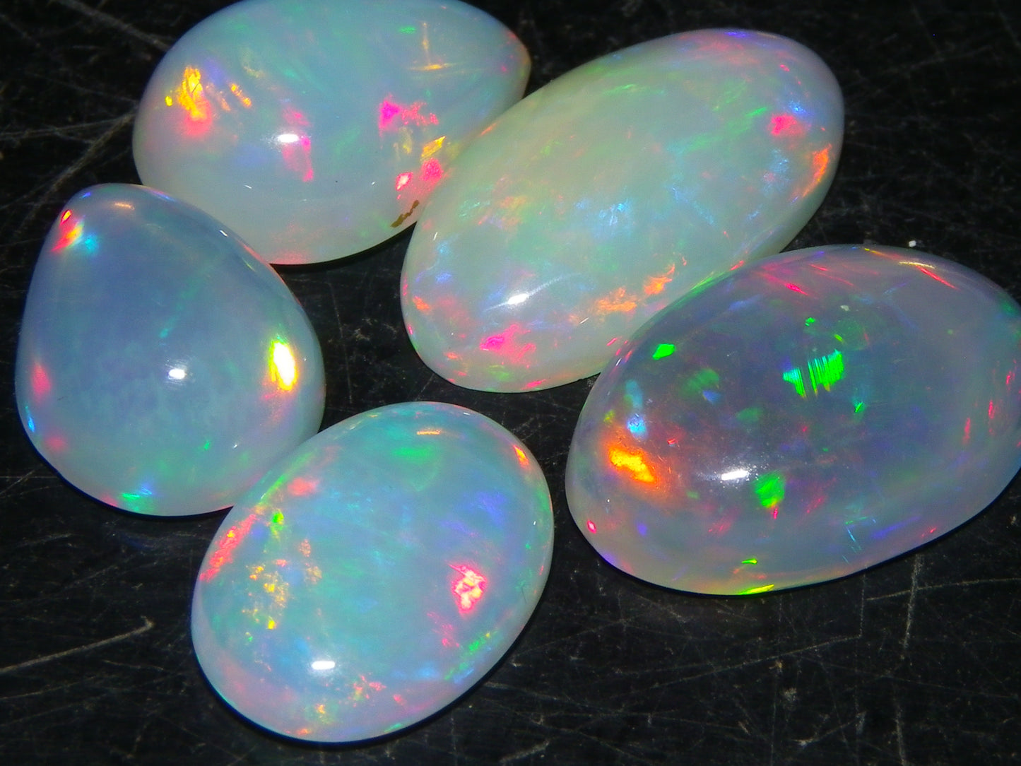 5 Nice Cut/Polished Ethiopia welo Crystal Opals 13.84cts Multicolour Fires