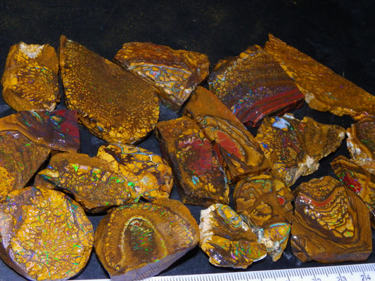 Nice Parcel Rough/Sliced Koroit Opal 1226cts Queensland Australia Patterns/Fires Au