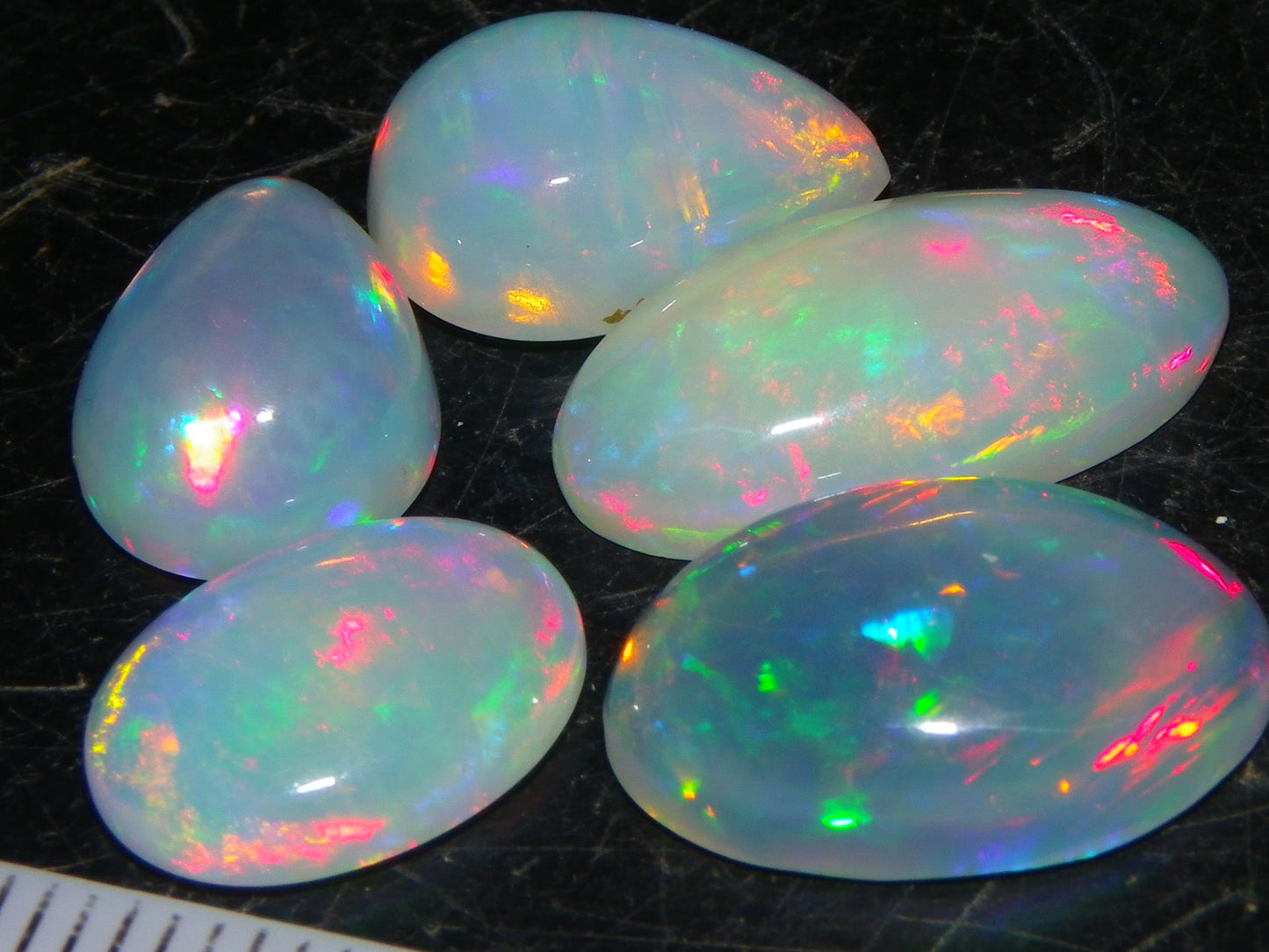 5 Nice Cut/Polished Ethiopia welo Crystal Opals 13.84cts Multicolour Fires