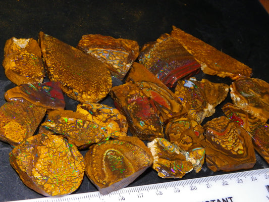 Nice Parcel Rough/Sliced Koroit Opal 1226cts Queensland Australia Patterns/Fires Au