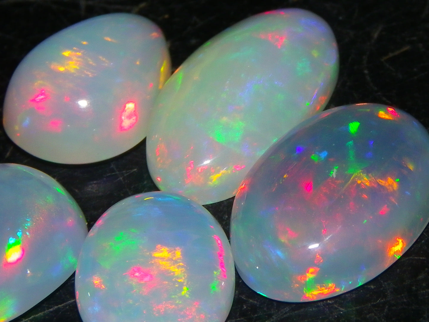 5 Nice Cut/Polished Ethiopia welo Crystal Opals 13.84cts Multicolour Fires