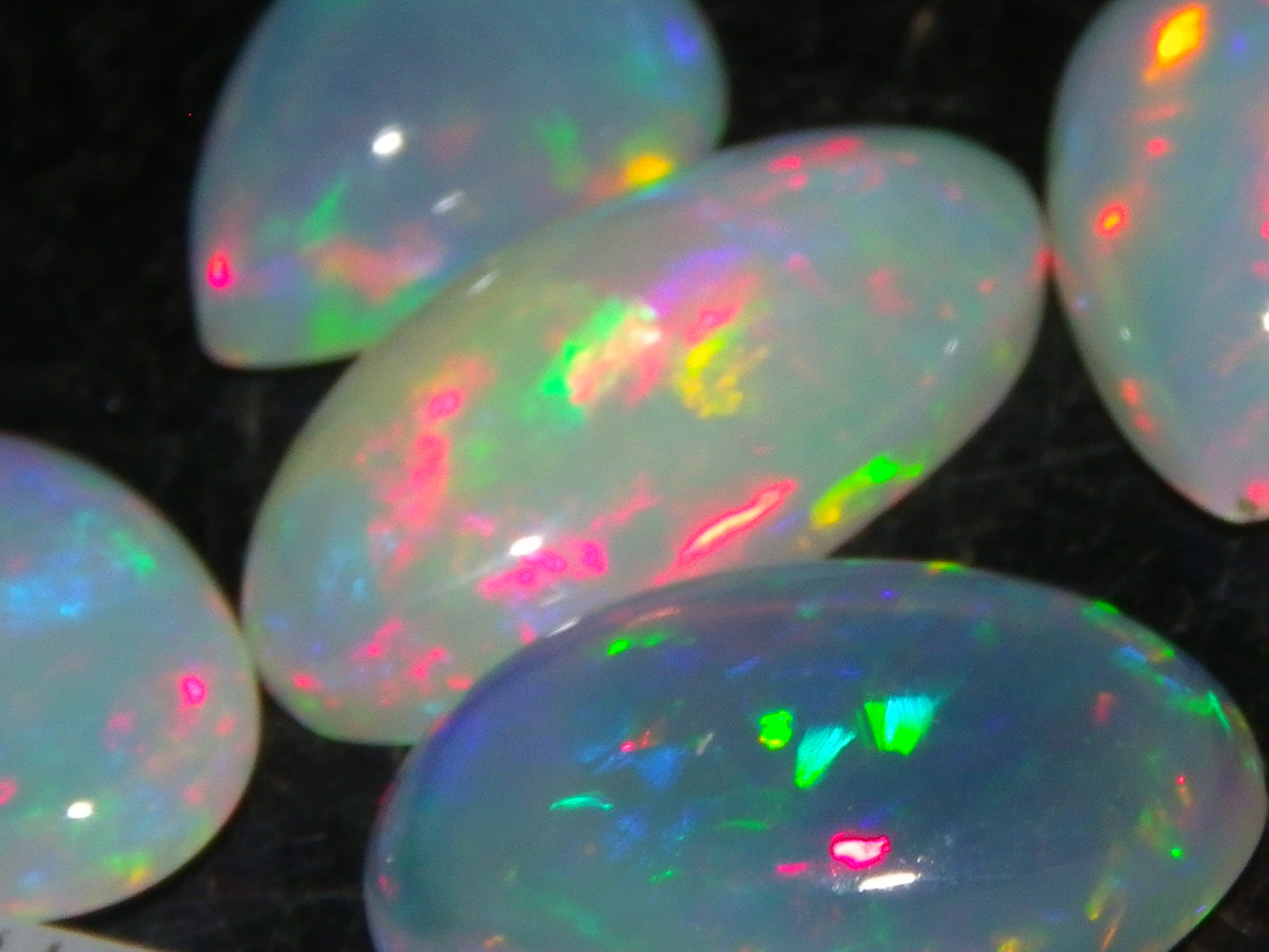 5 Nice Cut/Polished Ethiopia welo Crystal Opals 13.84cts Multicolour Fires