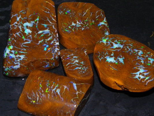 Gem Rough/Sliced Matrix Opal Set/Parcel 1218cts Opalton Queensland Australia