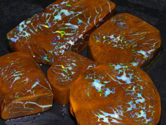 Gem Rough/Sliced Matrix Opal Set/Parcel 1218cts Opalton Queensland Australia