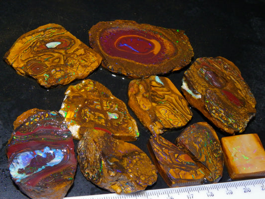 Nice Rough/Sliced Koroit Opal Parcel 906cts Queensland Australia Nuts/Pattern/Fires