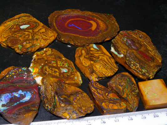 Nice Rough/Sliced Koroit Opal Parcel 906cts Queensland Australia Nuts/Pattern/Fires