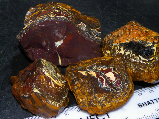 Nice Koroit Opal Nuts/Pattern Chunks/Specimens 548 Grams Queensland Australia