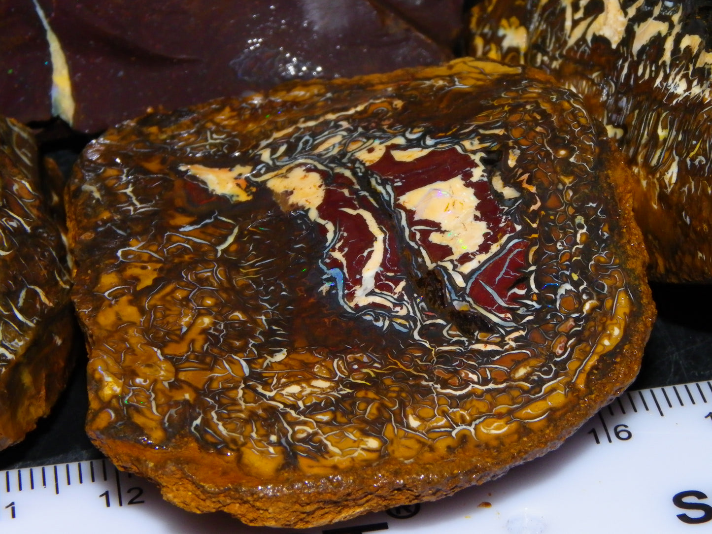 Nice Koroit Opal Nuts/Pattern Chunks/Specimens 548 Grams Queensland Australia