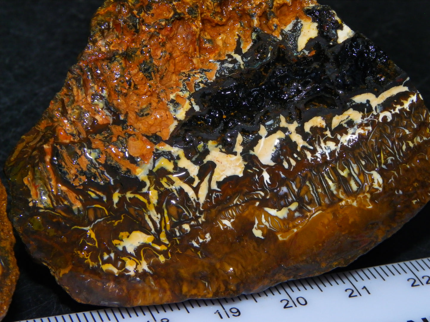 Nice Koroit Opal Nuts/Pattern Chunks/Specimens 548 Grams Queensland Australia