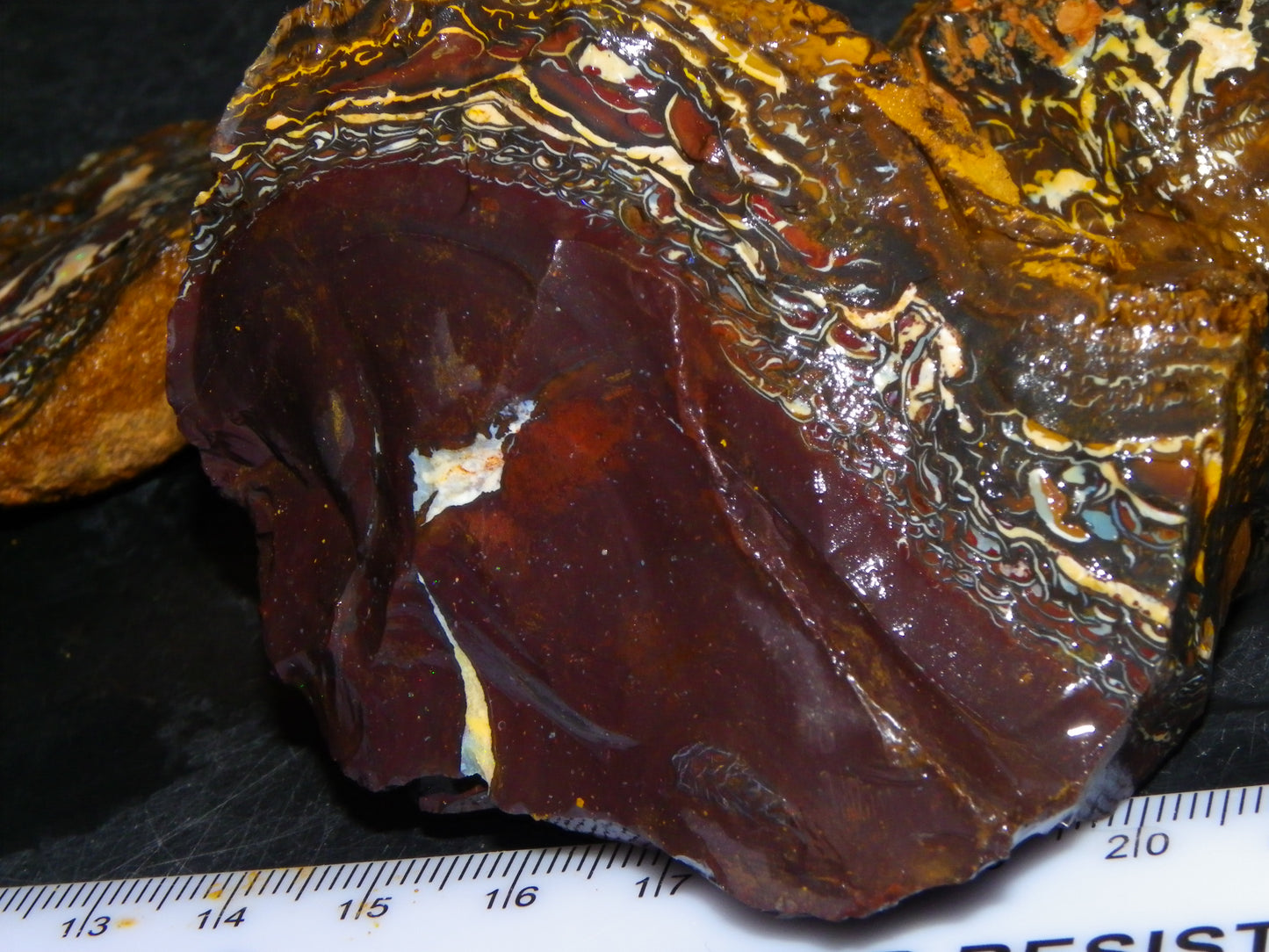 Nice Koroit Opal Nuts/Pattern Chunks/Specimens 548 Grams Queensland Australia