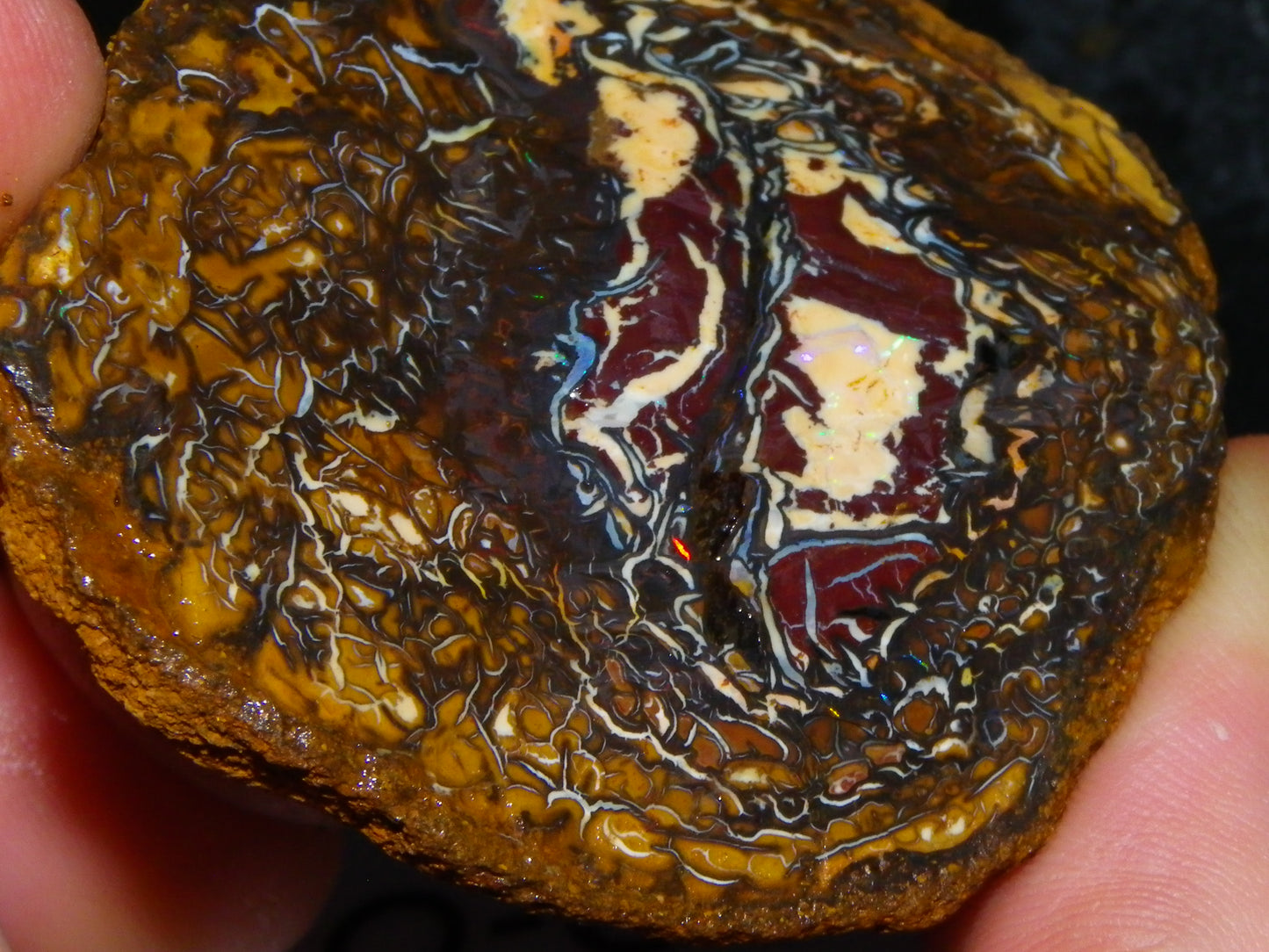 Nice Koroit Opal Nuts/Pattern Chunks/Specimens 548 Grams Queensland Australia