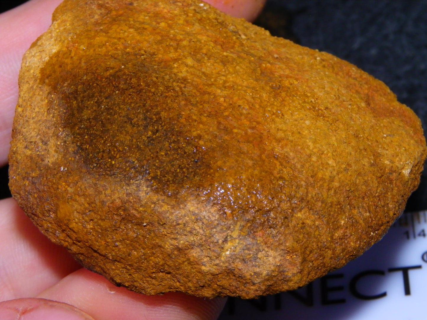 Nice Koroit Opal Nuts/Pattern Chunks/Specimens 548 Grams Queensland Australia