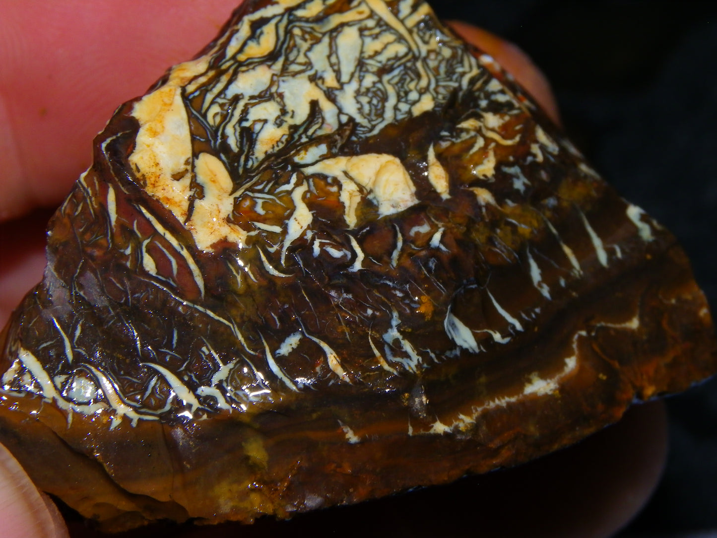 Nice Koroit Opal Nuts/Pattern Chunks/Specimens 548 Grams Queensland Australia