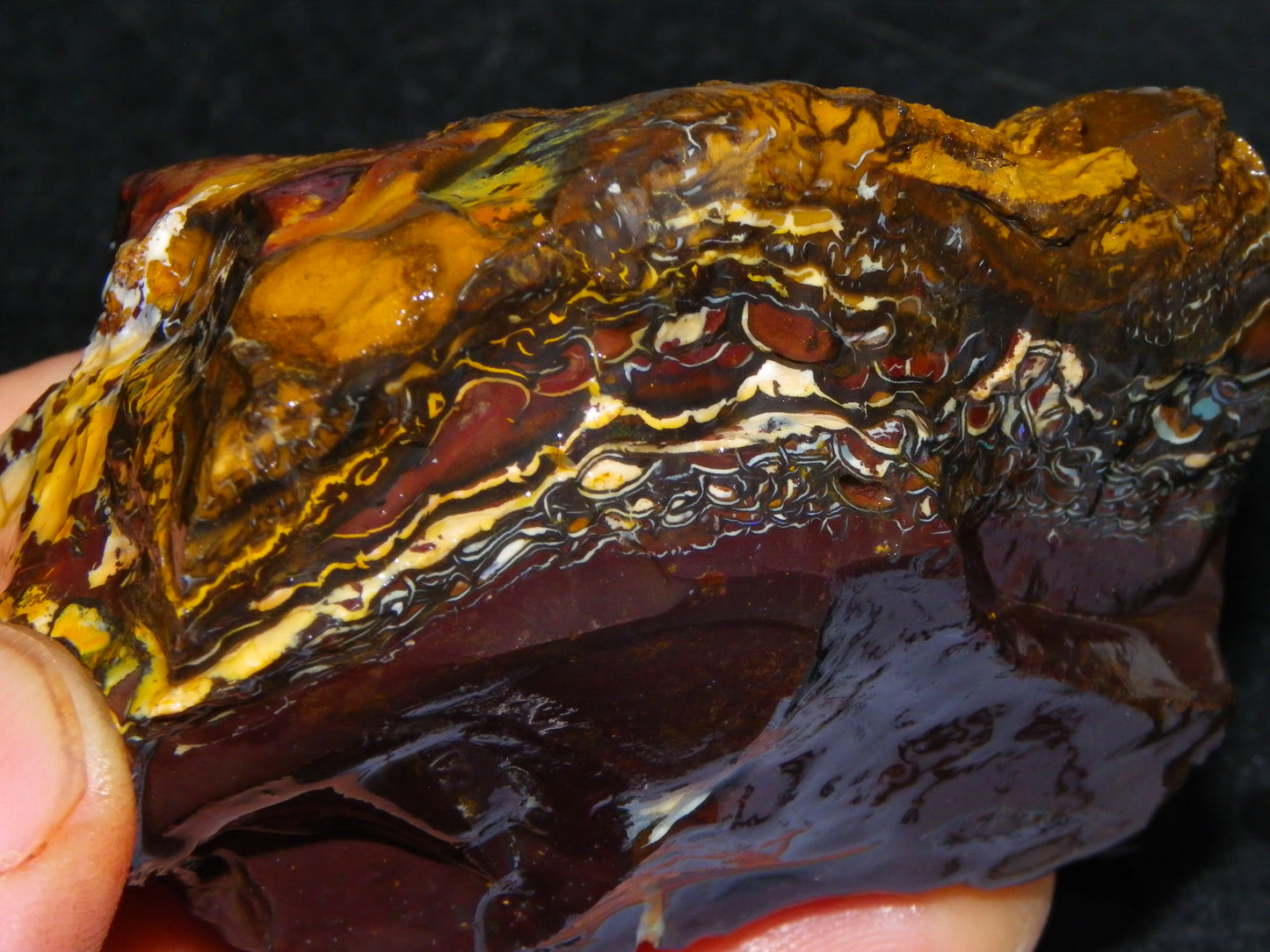 Nice Koroit Opal Nuts/Pattern Chunks/Specimens 548 Grams Queensland Australia