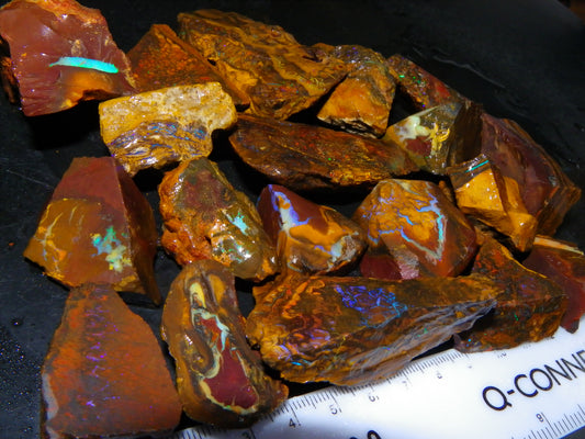 Nice Larger Rough/Sliced Koroit Opal Parcel 2645cts Lots of Patterns/Fires Australia