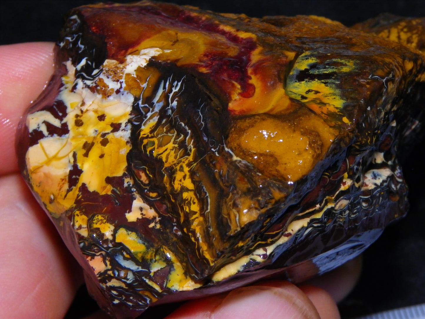 Nice Koroit Opal Nuts/Pattern Chunks/Specimens 548 Grams Queensland Australia