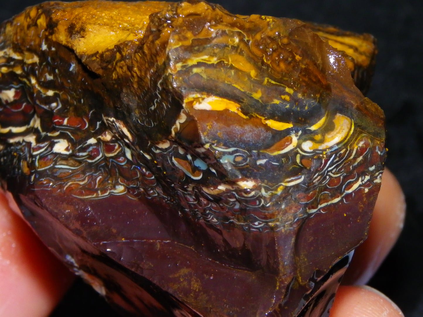 Nice Koroit Opal Nuts/Pattern Chunks/Specimens 548 Grams Queensland Australia