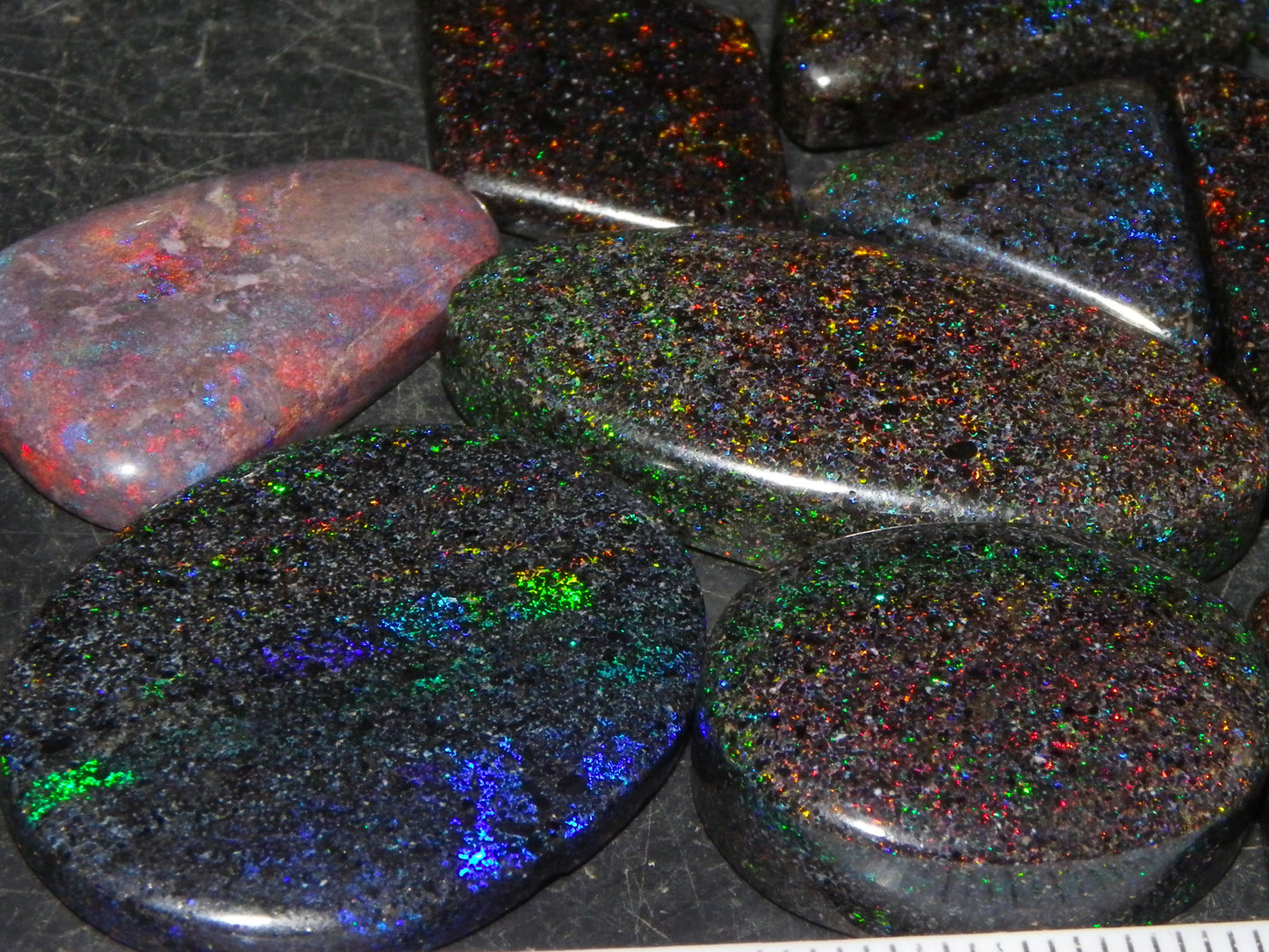 13 Nice Cut/Polished /Treated Andamooka Matrix Opals 143cts Red/Green/Blue Fires