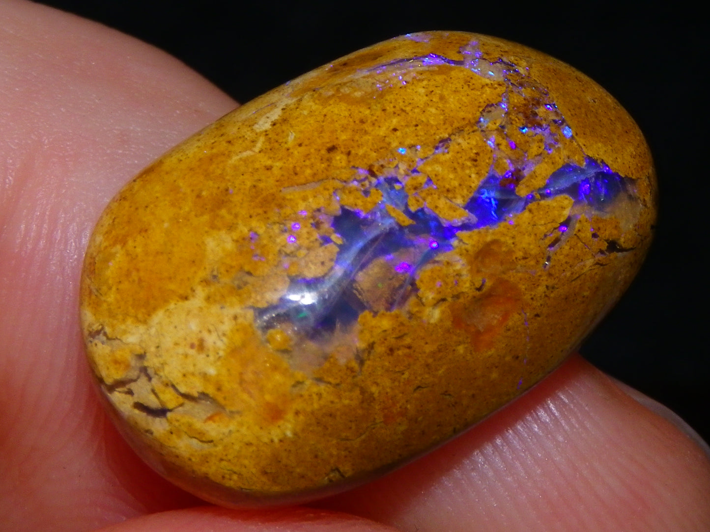 16 Cut/Polished Boulder/Koroit/Matrix Opal Cabs 192.5cts Fires/Patterns Australia