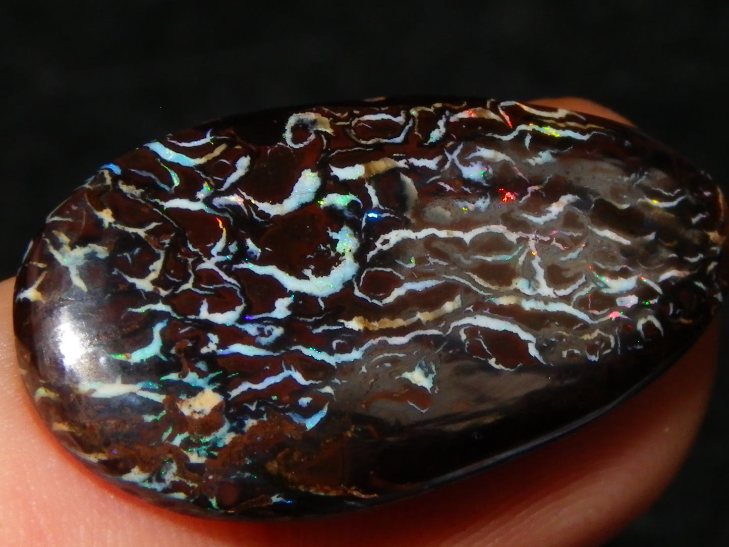 16 Cut/Polished Boulder/Koroit/Matrix Opal Cabs 192.5cts Fires/Patterns Australia