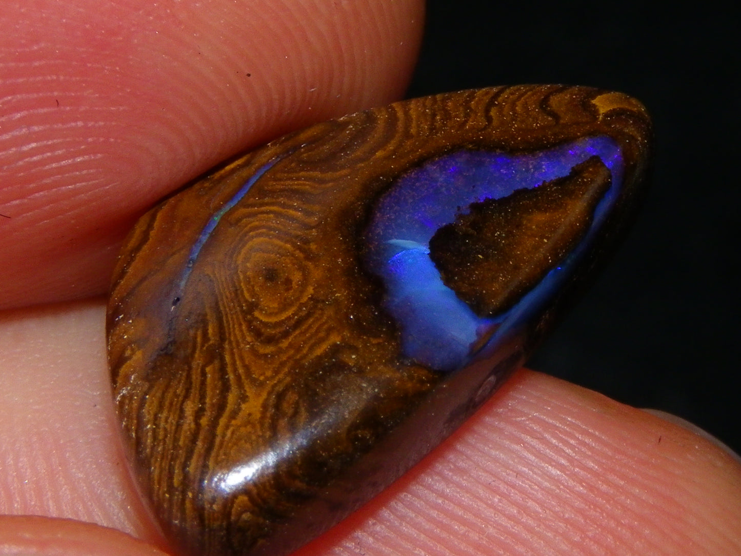 16 Cut/Polished Boulder/Koroit/Matrix Opal Cabs 192.5cts Fires/Patterns Australia
