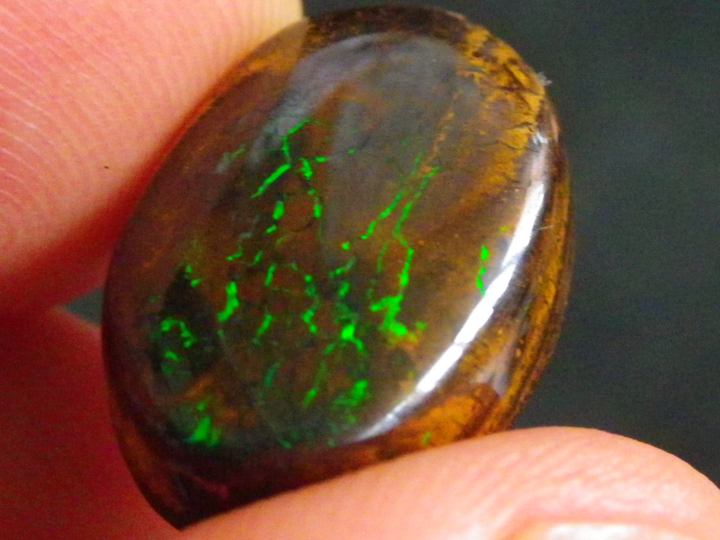 16 Cut/Polished Boulder/Koroit/Matrix Opal Cabs 192.5cts Fires/Patterns Australia