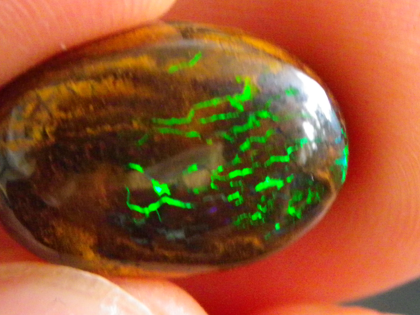 16 Cut/Polished Boulder/Koroit/Matrix Opal Cabs 192.5cts Fires/Patterns Australia