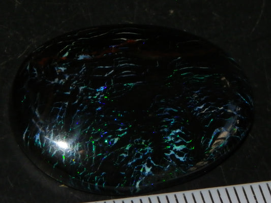 Nice Black Boulder/Matrix Opal Cab/Oval 23cts Queensland Australia Blue/Green Fires