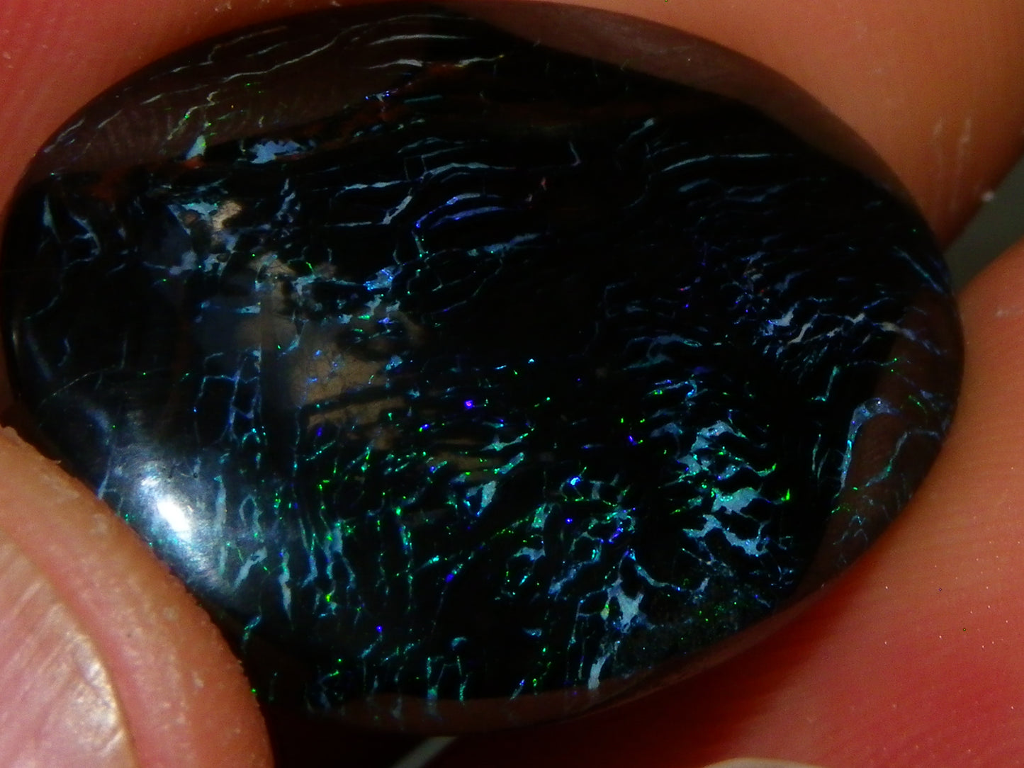 Nice Black Boulder/Matrix Opal Cab/Oval 23cts Queensland Australia Blue/Green Fires