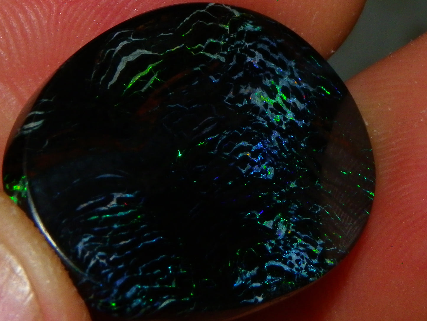 Nice Black Boulder/Matrix Opal Cab/Oval 23cts Queensland Australia Blue/Green Fires