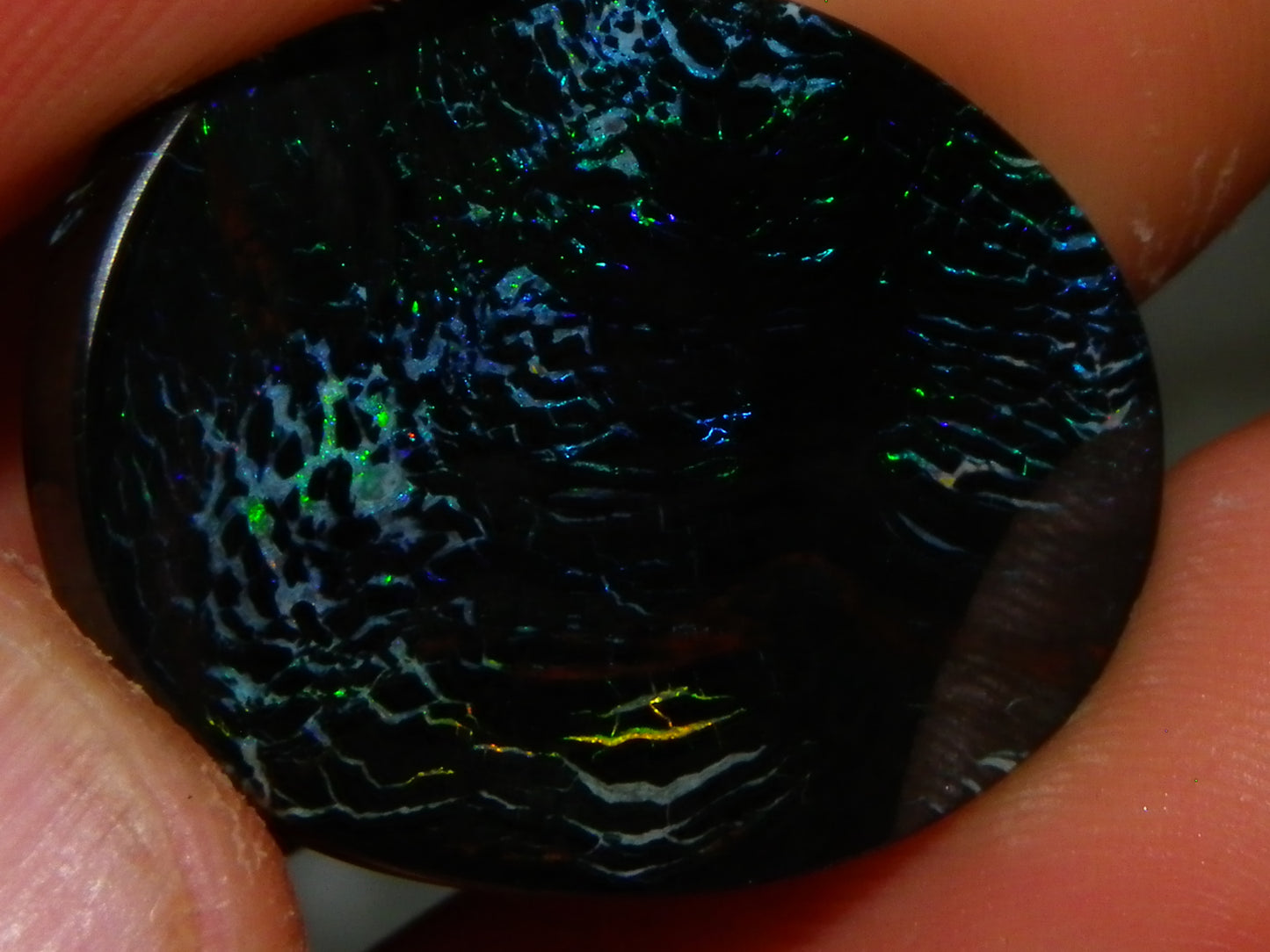 Nice Black Boulder/Matrix Opal Cab/Oval 23cts Queensland Australia Blue/Green Fires