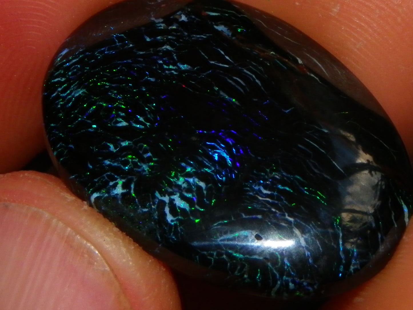 Nice Black Boulder/Matrix Opal Cab/Oval 23cts Queensland Australia Blue/Green Fires