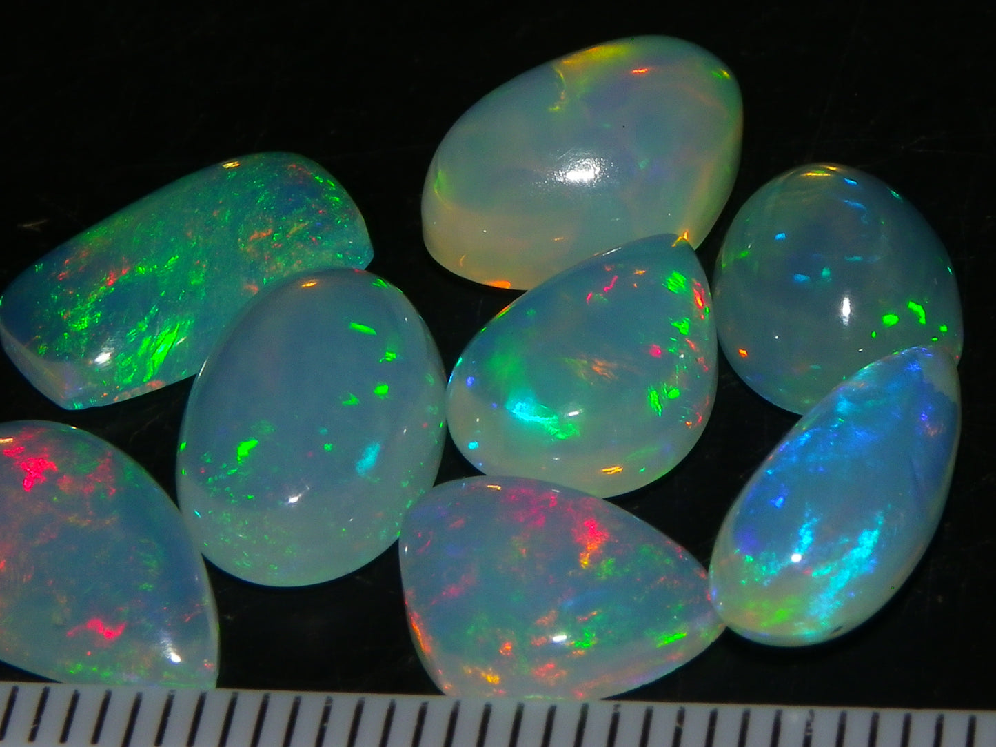 8 Nice Welo Crystal Opals / Cabs 17.2cts Multicolour Fires Ethiopia :)