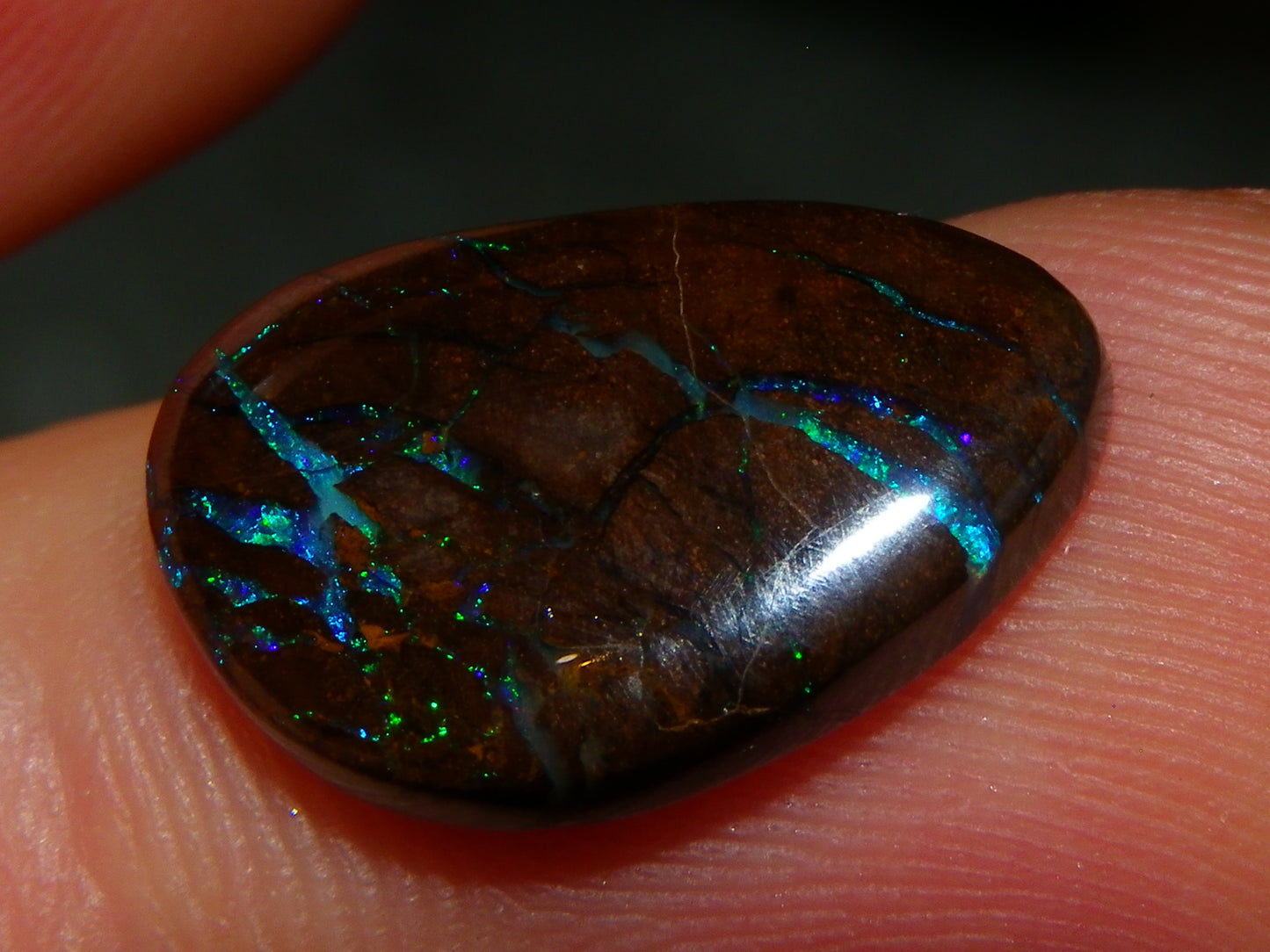 2 Cut/Polished Queensland Boulder Opals 26.3cts Blue/Green Fires :) Au