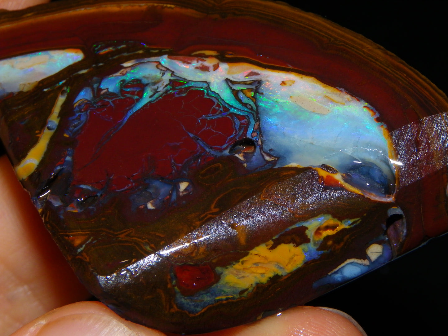 3 Matching Gem Boulder Opal Specimens/Slices 501cts Fires/Patterns Queensland Australia