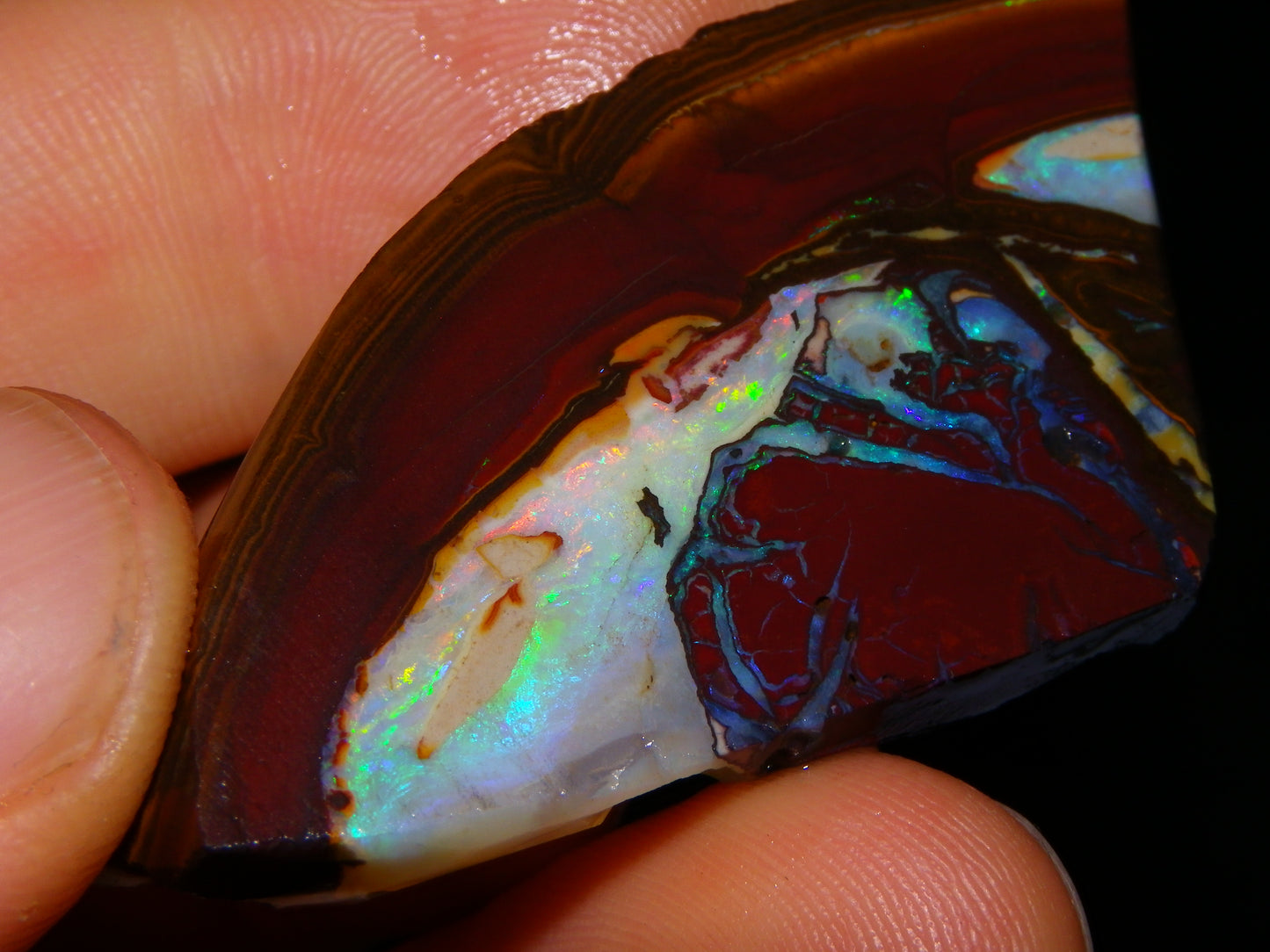 3 Matching Gem Boulder Opal Specimens/Slices 501cts Fires/Patterns Queensland Australia