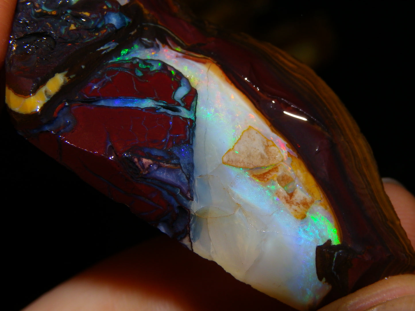 3 Matching Gem Boulder Opal Specimens/Slices 501cts Fires/Patterns Queensland Australia