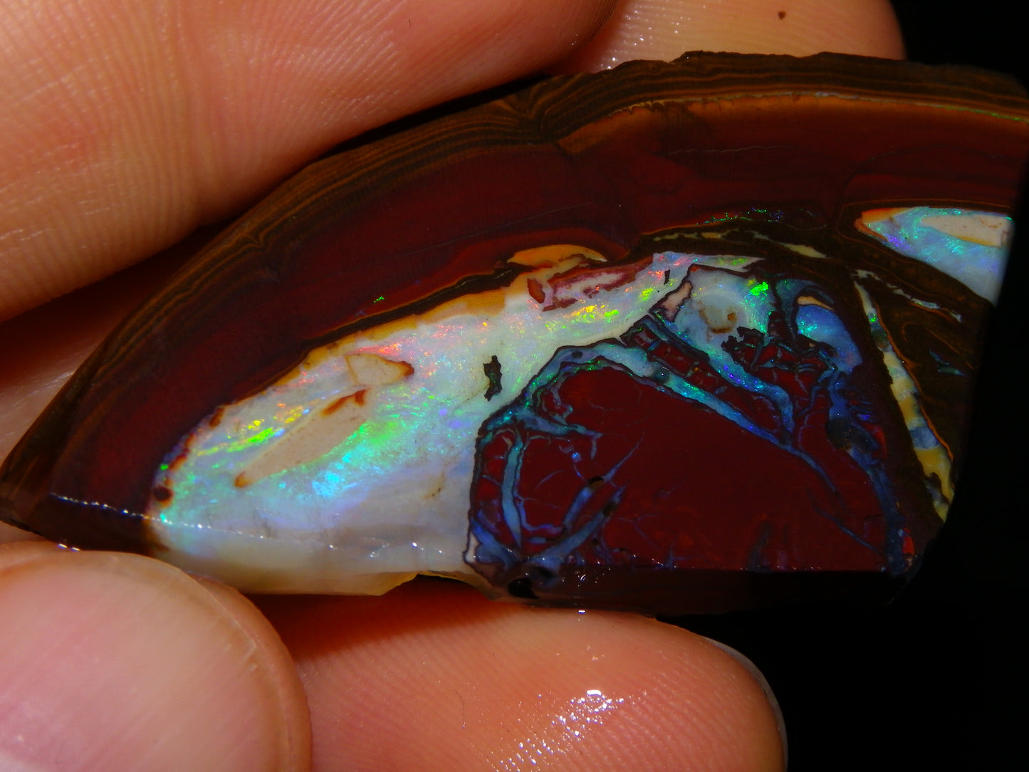 3 Matching Gem Boulder Opal Specimens/Slices 501cts Fires/Patterns Queensland Australia