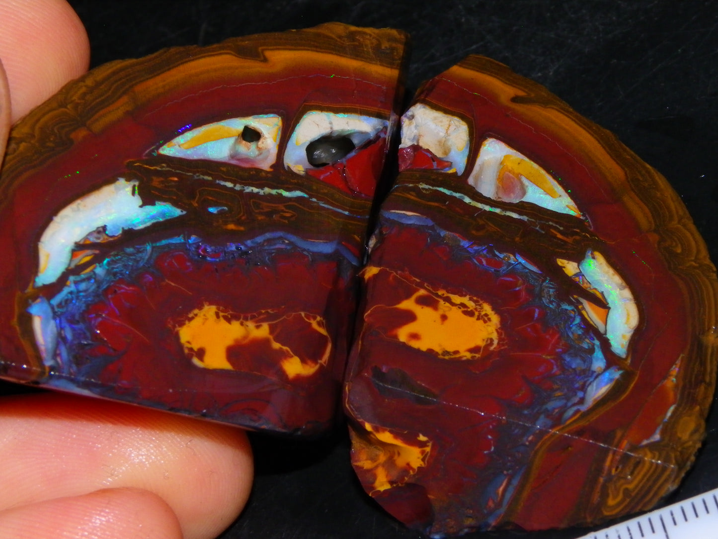 3 Matching Gem Boulder Opal Specimens/Slices 501cts Fires/Patterns Queensland Australia