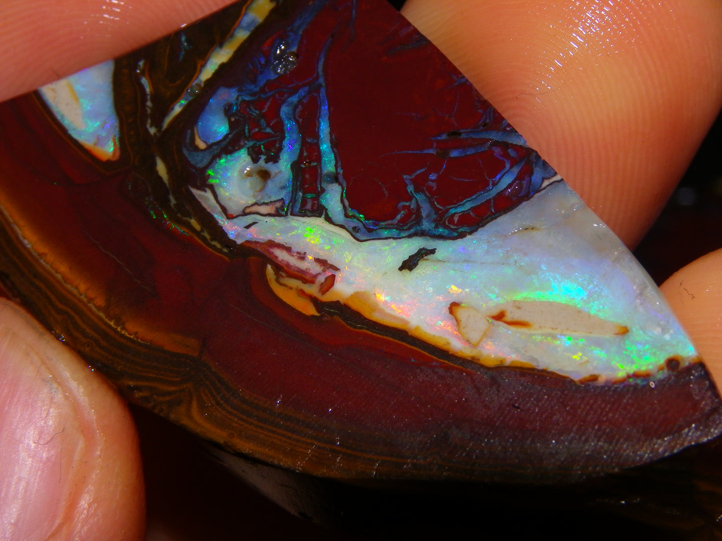 3 Matching Gem Boulder Opal Specimens/Slices 501cts Fires/Patterns Queensland Australia