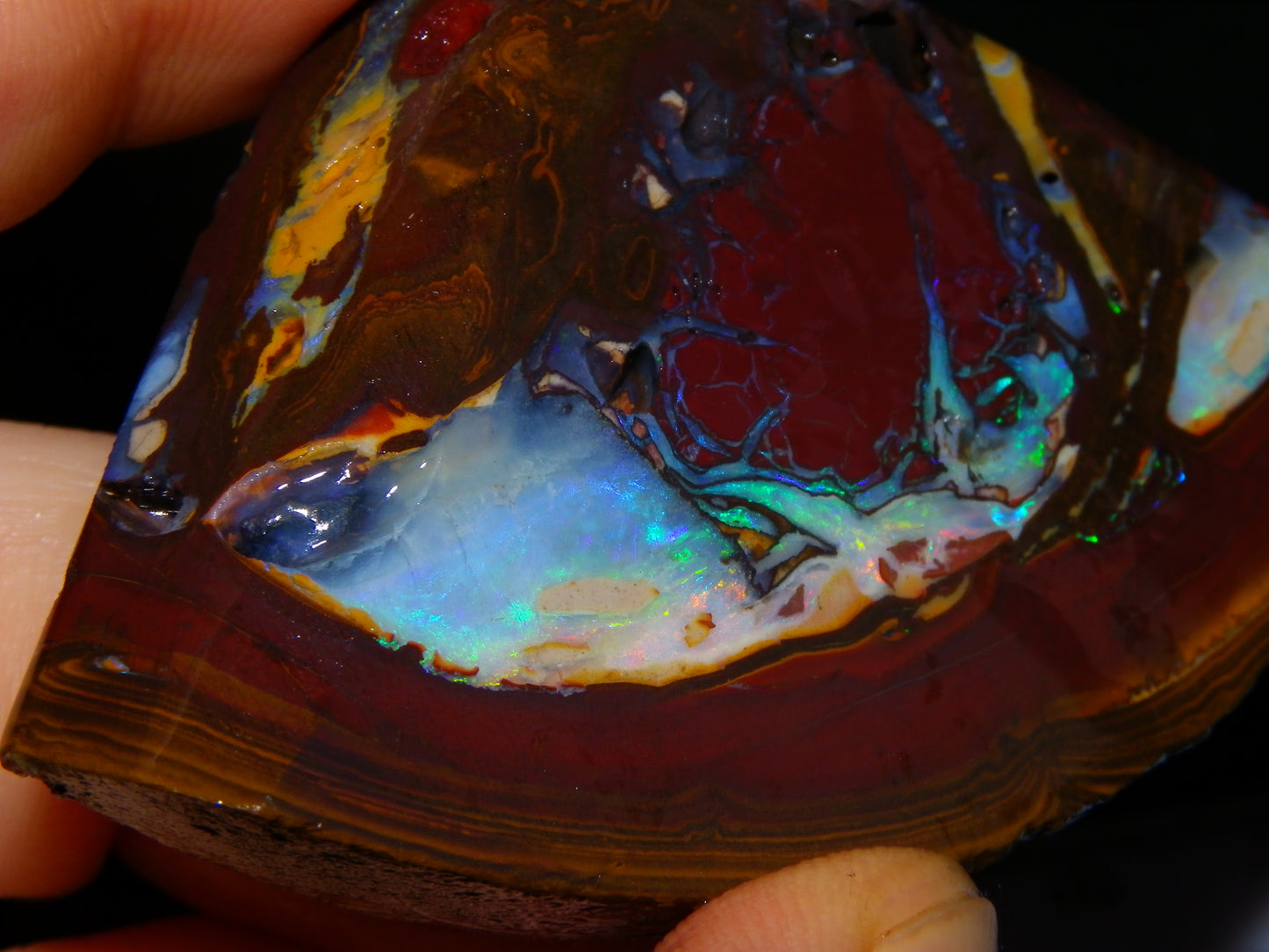 3 Matching Gem Boulder Opal Specimens/Slices 501cts Fires/Patterns Queensland Australia